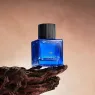 carved_oud_extrait_de_parfum_2_4shdaXqsJl.webp