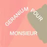 Géranium Pour Monsieur