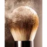 The Powder Brush